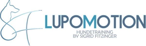 LupoMotion