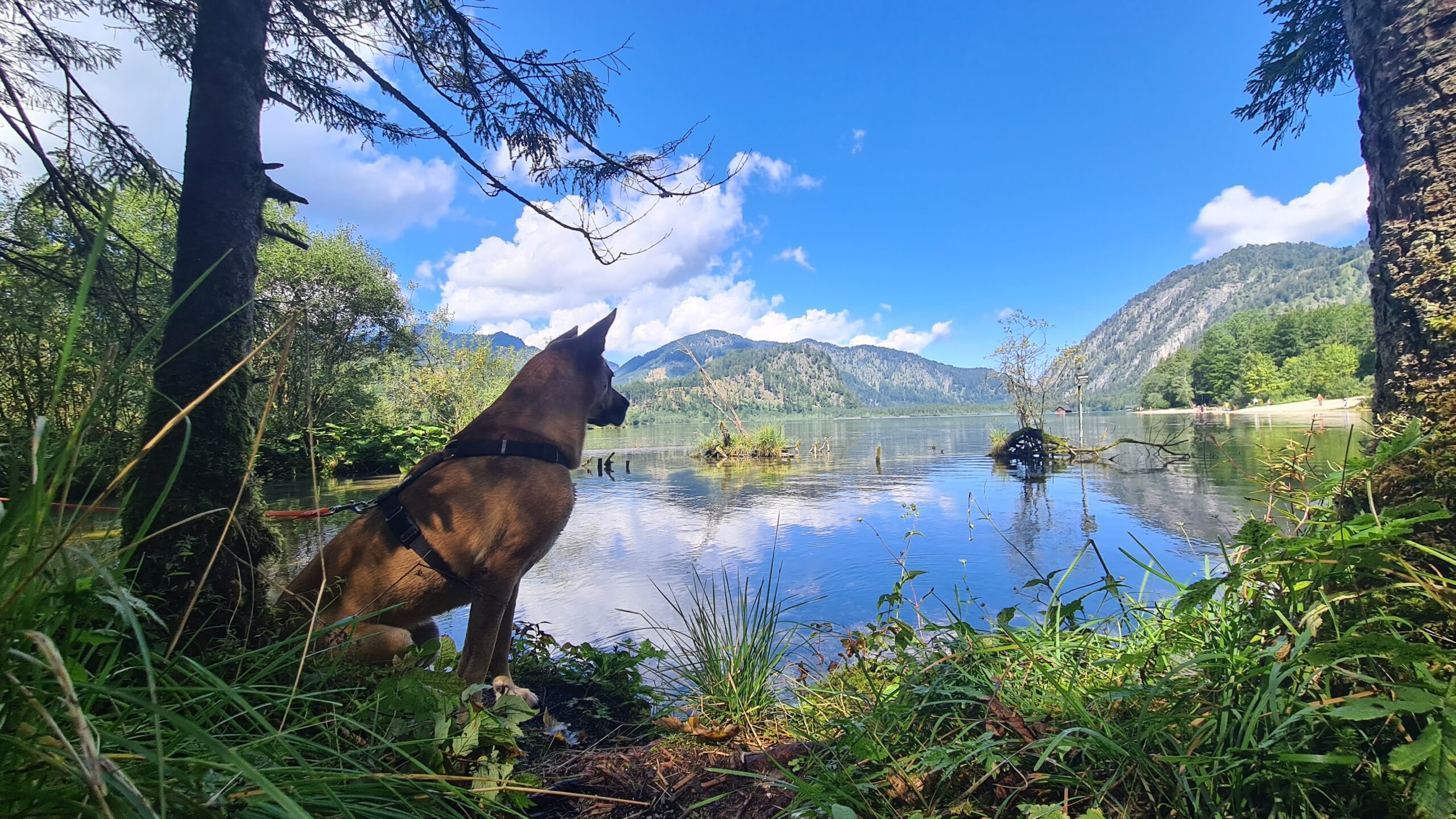 "Die Natur, unser Lehrmeister"